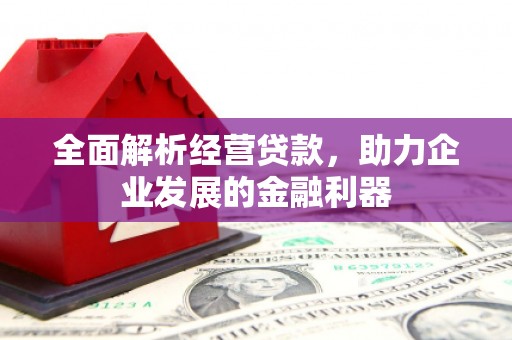 中西区全面解析经营贷款，助力企业发展的金融利器