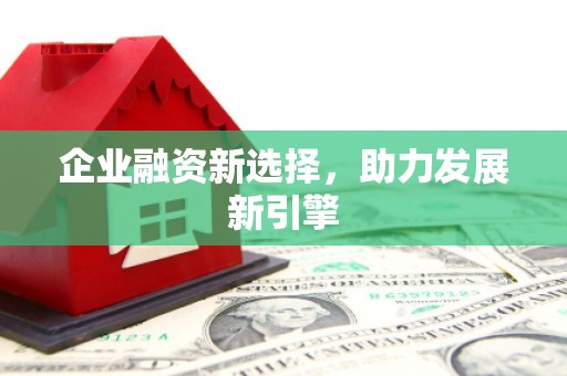 中西区企业融资新选择，助力发展新引擎