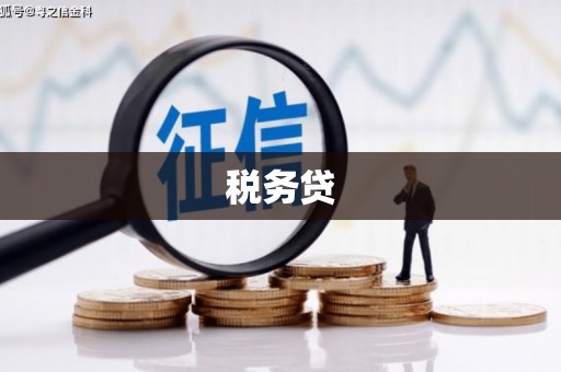中西区税务贷