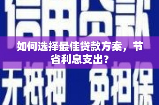 中西区如何选择最佳贷款方案，节省利息支出？