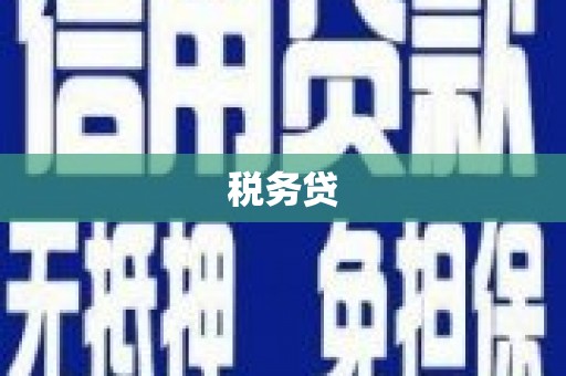 中西区税务贷