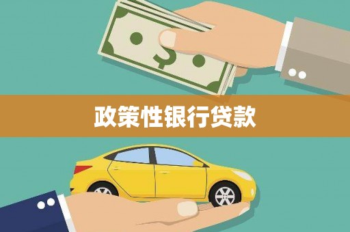 中西区政策性银行贷款
