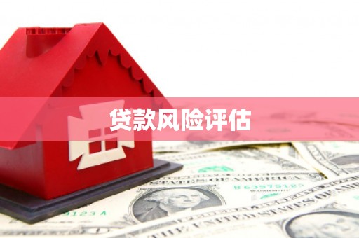 中西区贷款风险评估