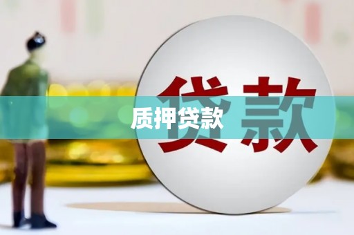 中西区质押贷款