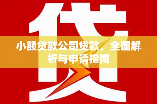 中西区小额贷款公司贷款，全面解析与申请指南