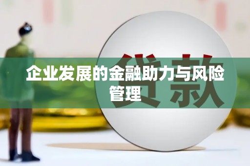 中西区企业发展的金融助力与风险管理