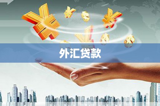 中西区外汇贷款