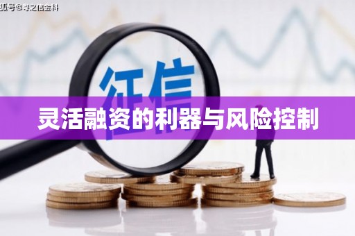 中西区灵活融资的利器与风险控制