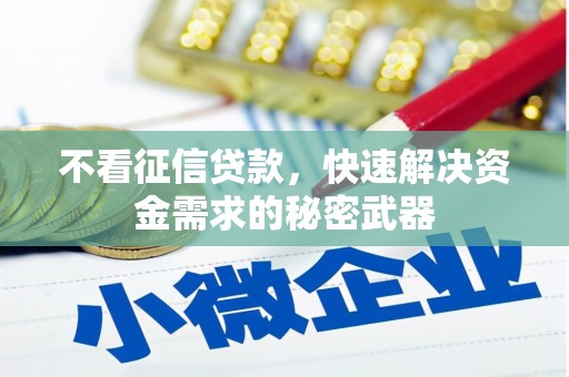 中西区不看征信贷款，快速解决资金需求的秘密武器