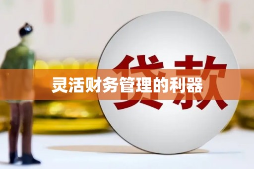 中西区灵活财务管理的利器