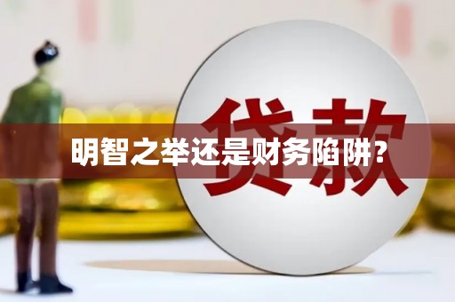 中西区明智之举还是财务陷阱？