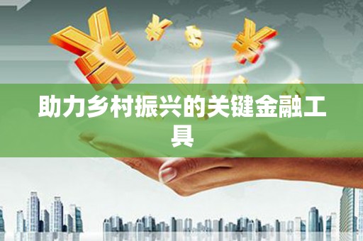 中西区助力乡村振兴的关键金融工具