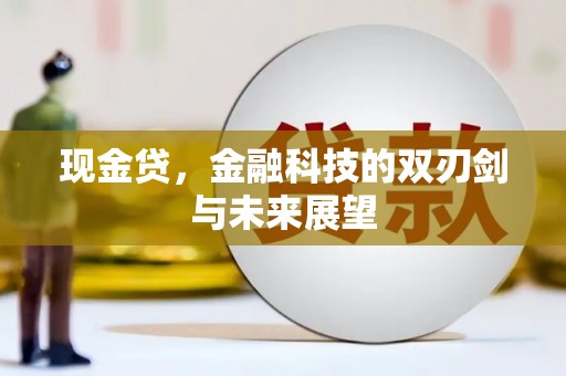 中西区现金贷，金融科技的双刃剑与未来展望