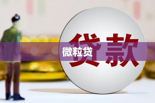 中西区微粒贷