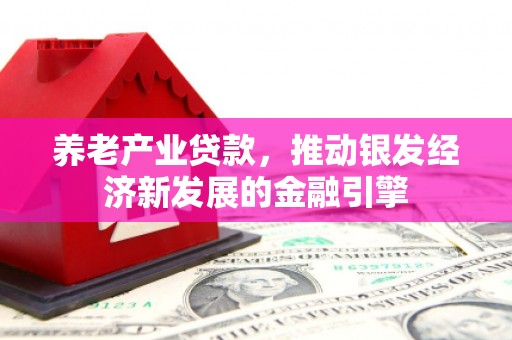 中西区养老产业贷款，推动银发经济新发展的金融引擎