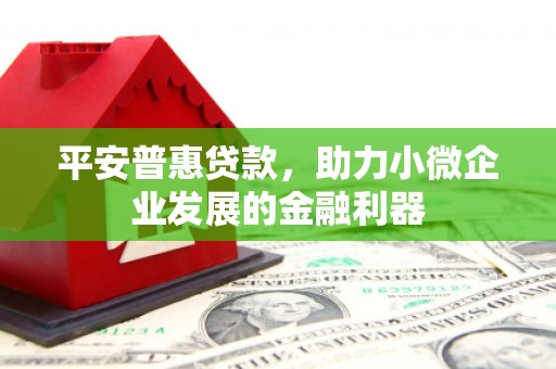 中西区平安普惠贷款，助力小微企业发展的金融利器