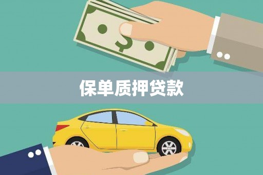 中西区保单质押贷款