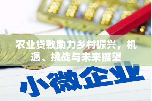 中西区农业贷款助力乡村振兴，机遇、挑战与未来展望