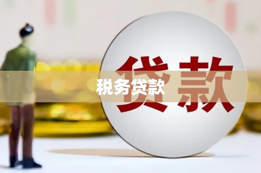 中西区税务贷款