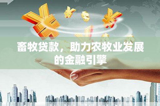 中西区畜牧贷款，助力农牧业发展的金融引擎