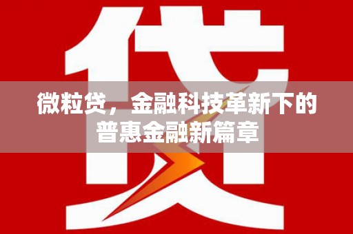 中西区微粒贷，金融科技革新下的普惠金融新篇章