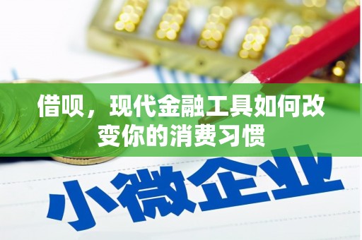 中西区借呗，现代金融工具如何改变你的消费习惯