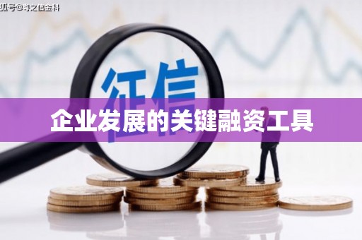 中西区企业发展的关键融资工具