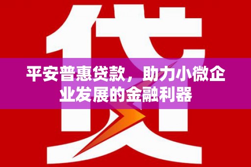 中西区平安普惠贷款，助力小微企业发展的金融利器