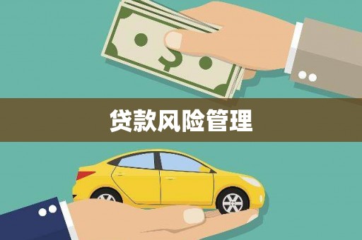 中西区贷款风险管理