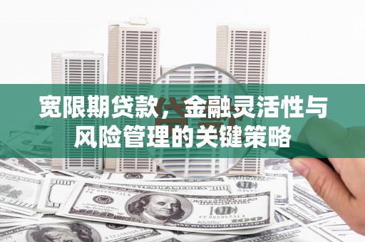 中西区宽限期贷款，金融灵活性与风险管理的关键策略