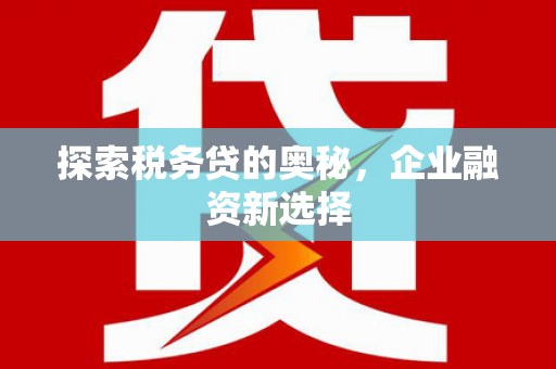 中西区探索税务贷的奥秘，企业融资新选择