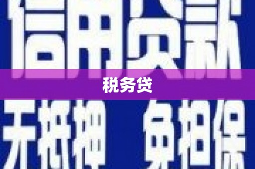 中西区税务贷