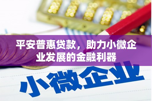 中西区平安普惠贷款，助力小微企业发展的金融利器