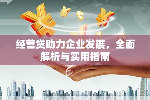 中西区经营贷助力企业发展，全面解析与实用指南