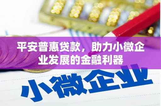 中西区平安普惠贷款，助力小微企业发展的金融利器