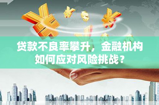 中西区贷款不良率攀升，金融机构如何应对风险挑战？