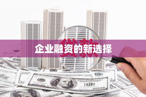 中西区企业融资的新选择