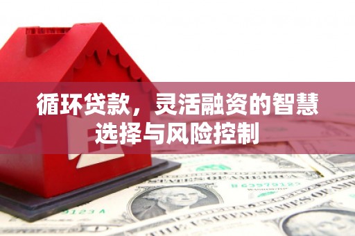 中西区循环贷款，灵活融资的智慧选择与风险控制