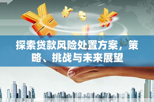 中西区探索贷款风险处置方案，策略、挑战与未来展望