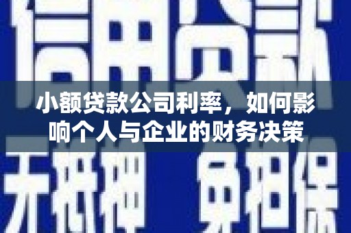中西区小额贷款公司利率，如何影响个人与企业的财务决策