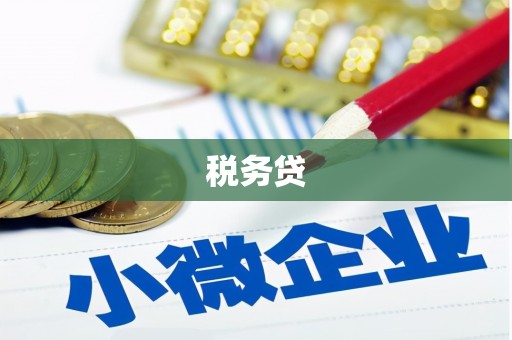 中西区税务贷