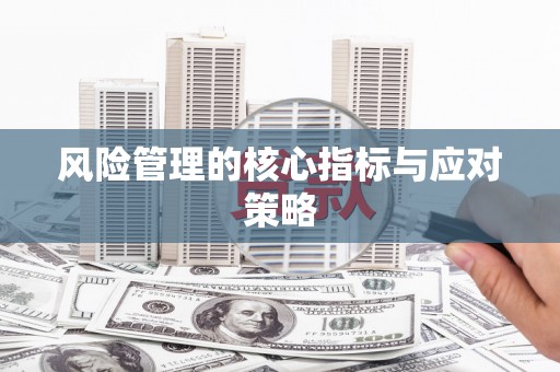 中西区风险管理的核心指标与应对策略
