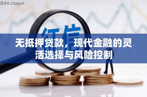 中西区无抵押贷款，现代金融的灵活选择与风险控制