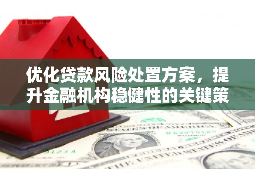 中西区优化贷款风险处置方案，提升金融机构稳健性的关键策略