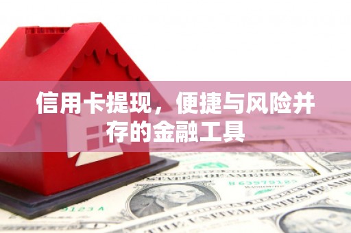 中西区信用卡提现，便捷与风险并存的金融工具