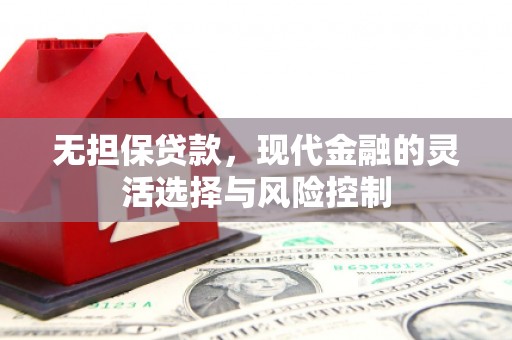 中西区无担保贷款，现代金融的灵活选择与风险控制