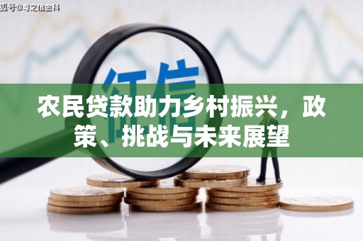 中西区农民贷款助力乡村振兴，政策、挑战与未来展望