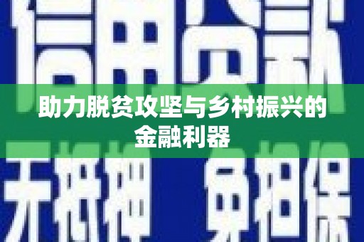 中西区助力脱贫攻坚与乡村振兴的金融利器