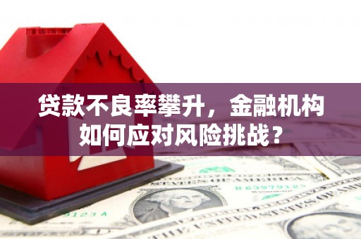 中西区贷款不良率攀升，金融机构如何应对风险挑战？