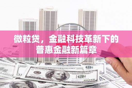 中西区微粒贷，金融科技革新下的普惠金融新篇章